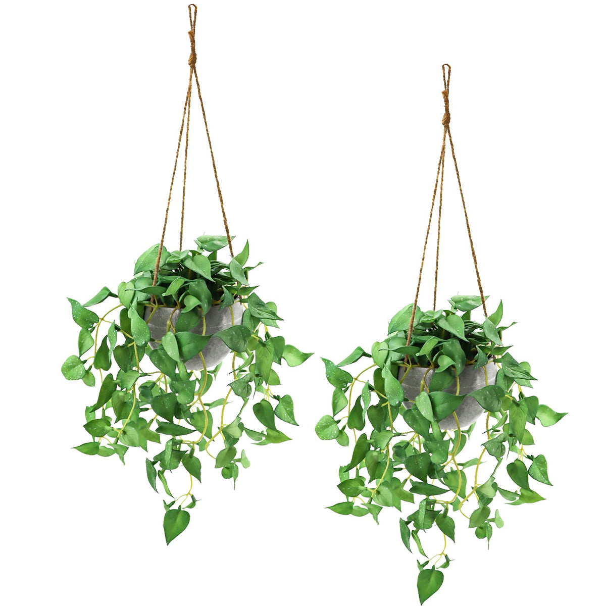 TNNTOPELE hanging plants 2-pack displayed on wall for stylish year-round greenery.