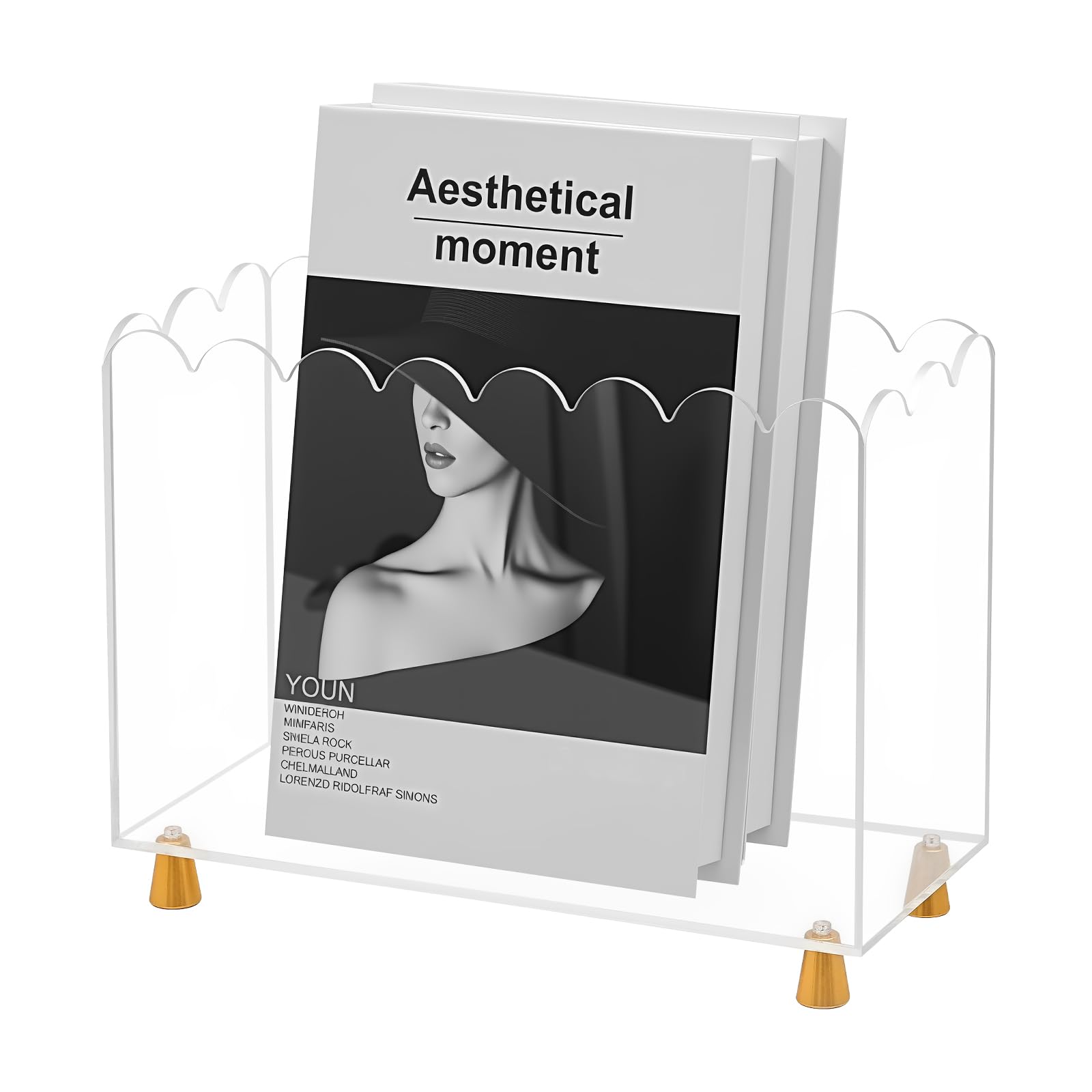 Tocemei acrylic magazine holder front view: clear, dust-free storage for magazines.
