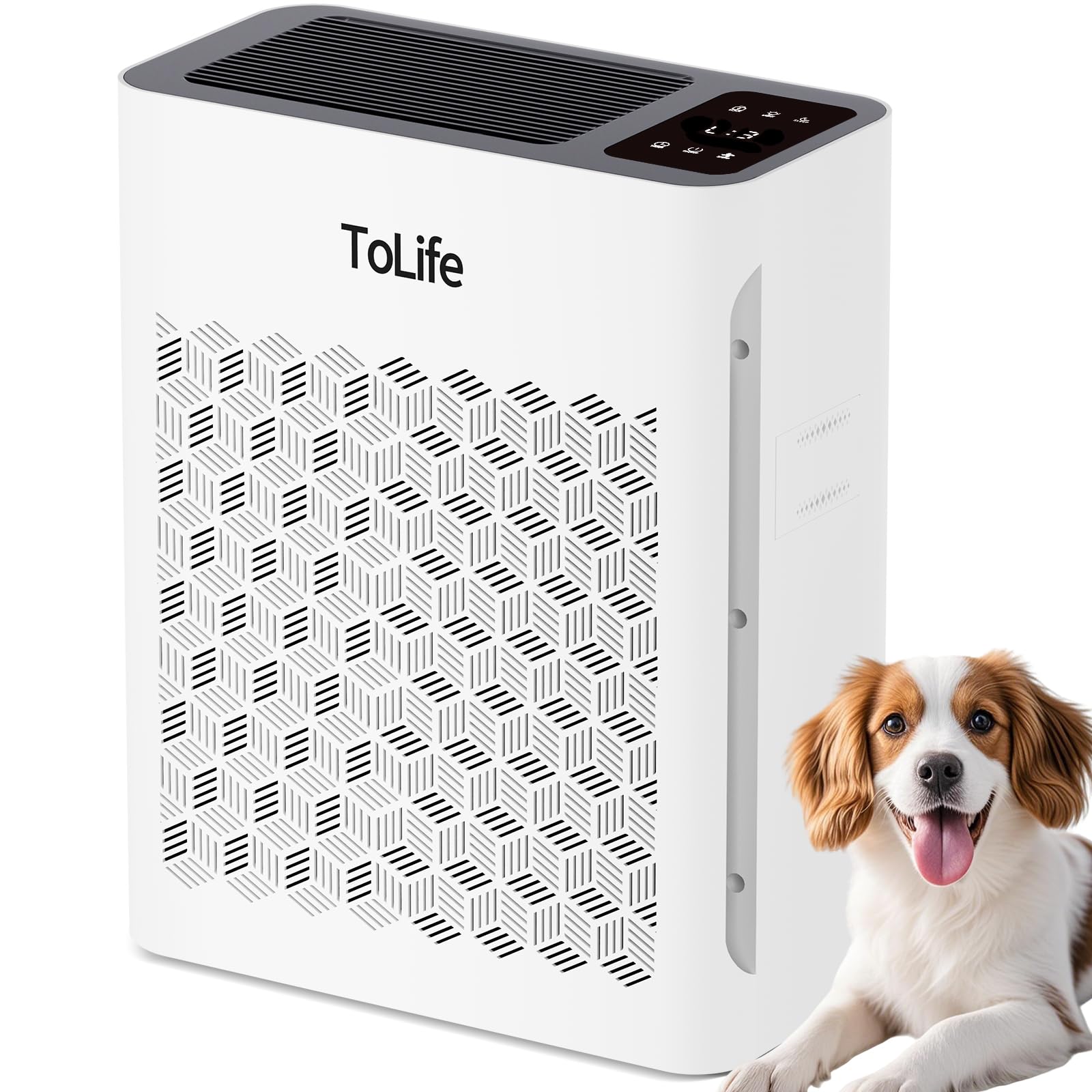ToLife air purifier large room front view for clean air in open spaces.