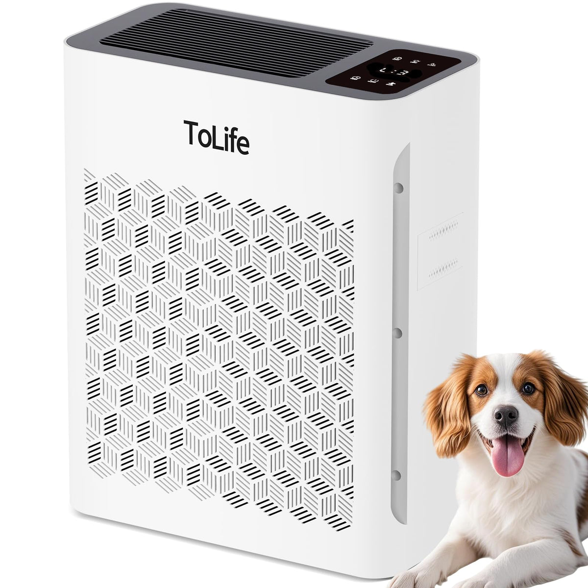 ToLife air purifier large room front view for clean air in open spaces.