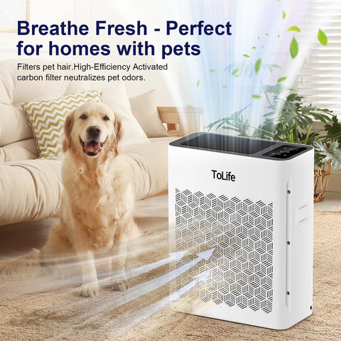 ToLife purifier washable filter close-up showing pet hair pre-filter in action.