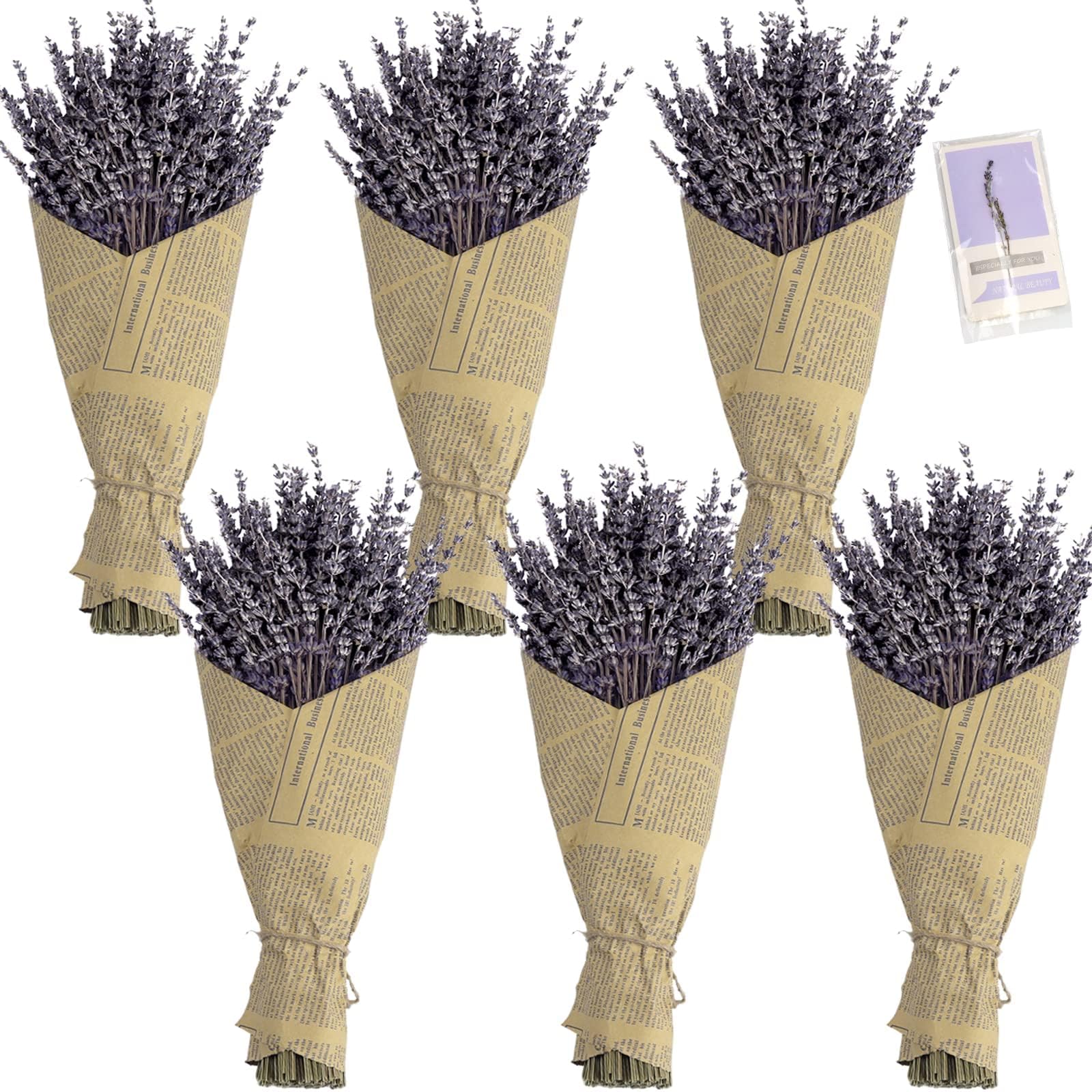 TOMOON dried lavender bouquet with 14-17 inch stems for elegant home decor and subtle fragrance.