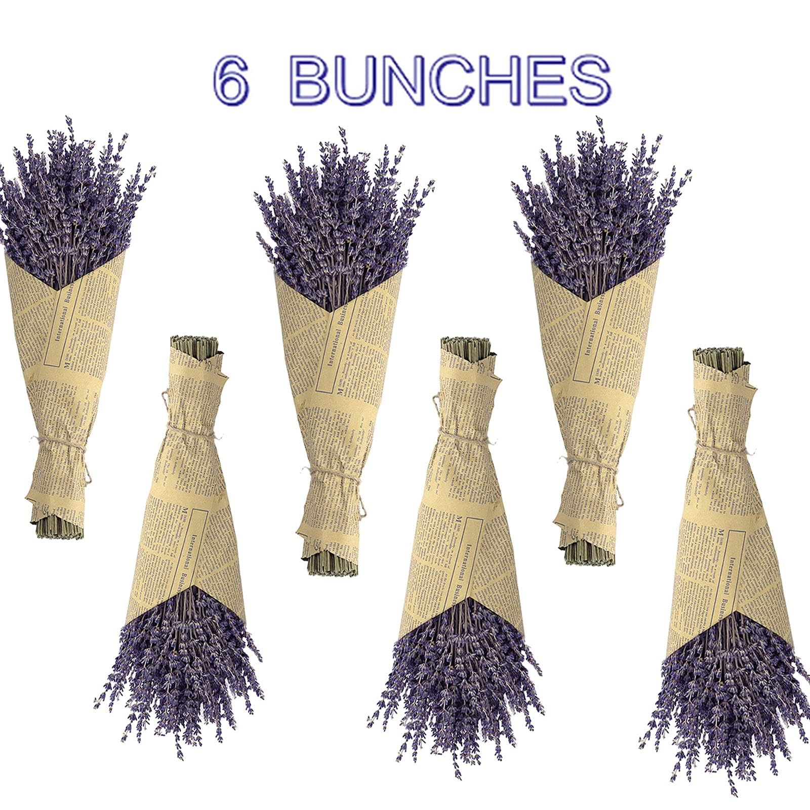 TOMOON lavender sticks ideal for photoshoot props and premium aesthetics.