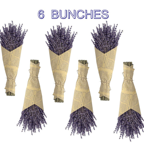 TOMOON lavender sticks ideal for photoshoot props and premium aesthetics.