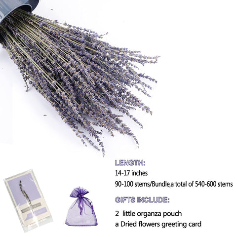 TOMOON dried lavender for wedding decor and table centerpieces.