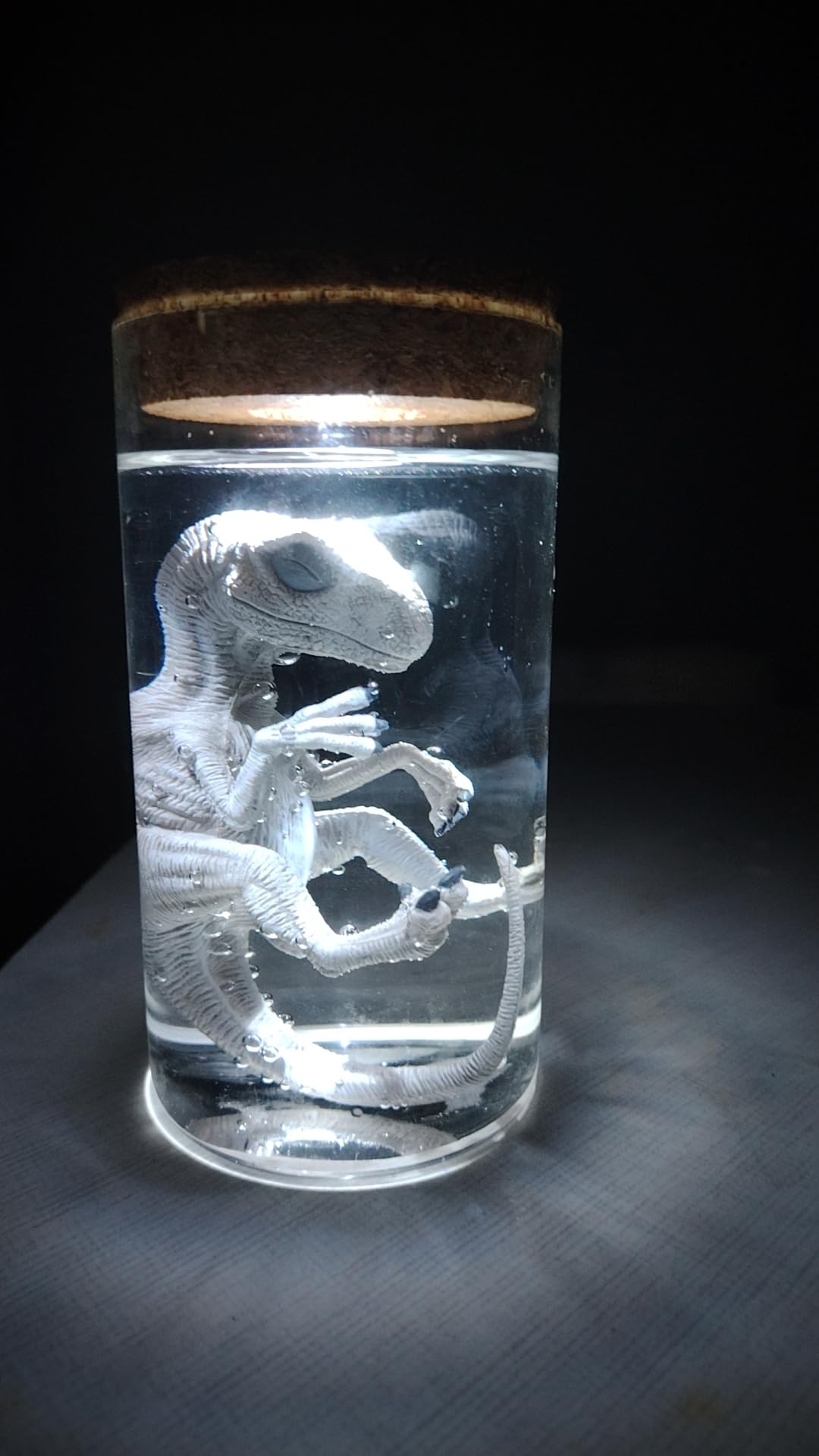 Tongqic holiday gift dinosaur lamp makes a memorable present