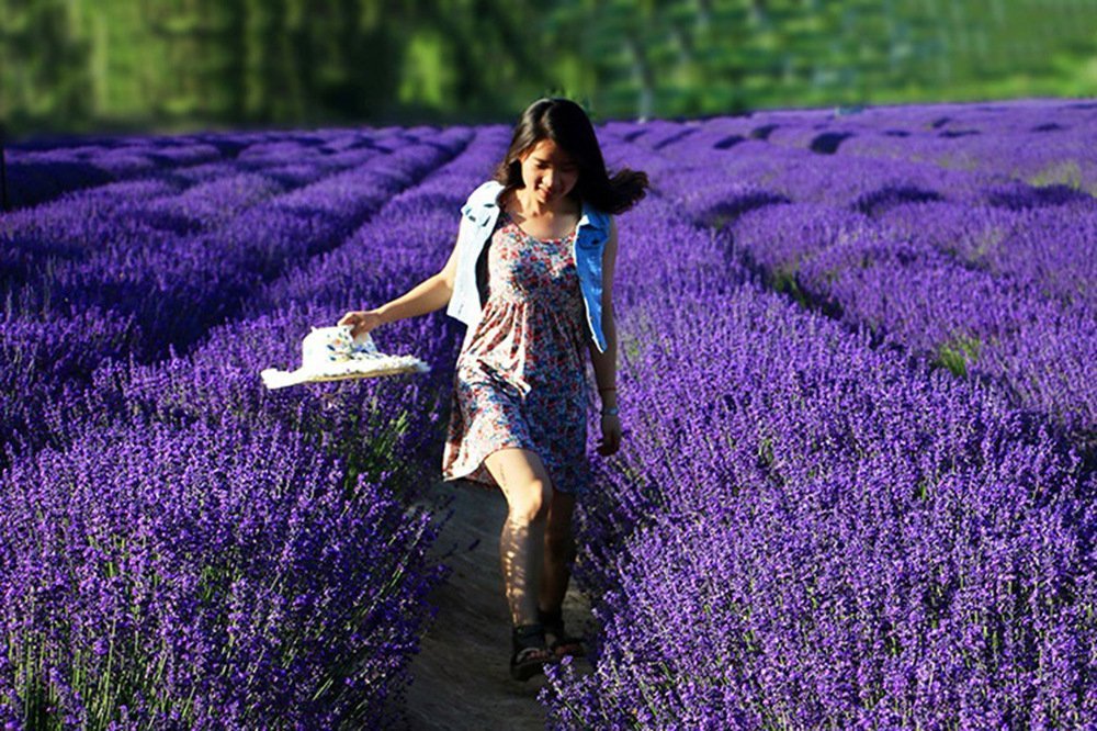 TooGet lavender buds in sachets for closets to maintain fresh scent.