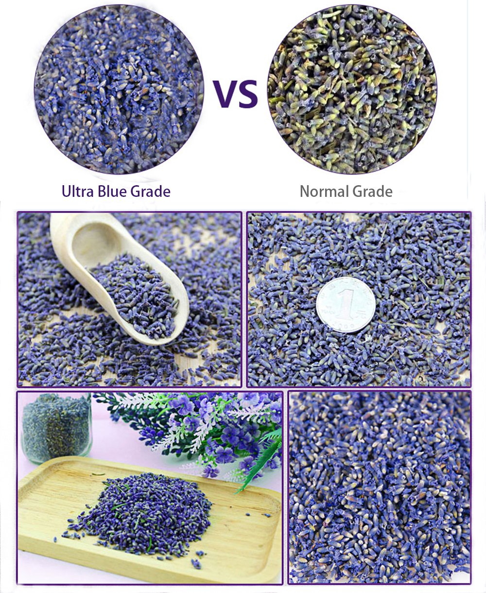 TooGet natural dried lavender buds offer clean aroma for crafts.
