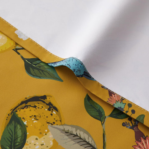 Topfinel hummingbird design brings playful charm to nurseries and kitchens.
