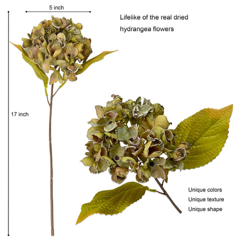 TOPIA DIY-friendly dried flowers ideal for weddings and cozy home decor.