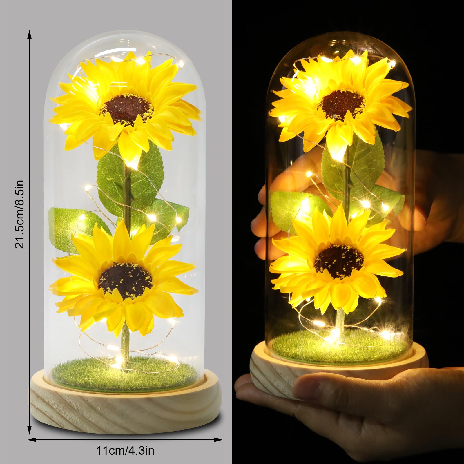 Touloube LED Sunflower Glass Dome emits warm ambient light for cozy evenings