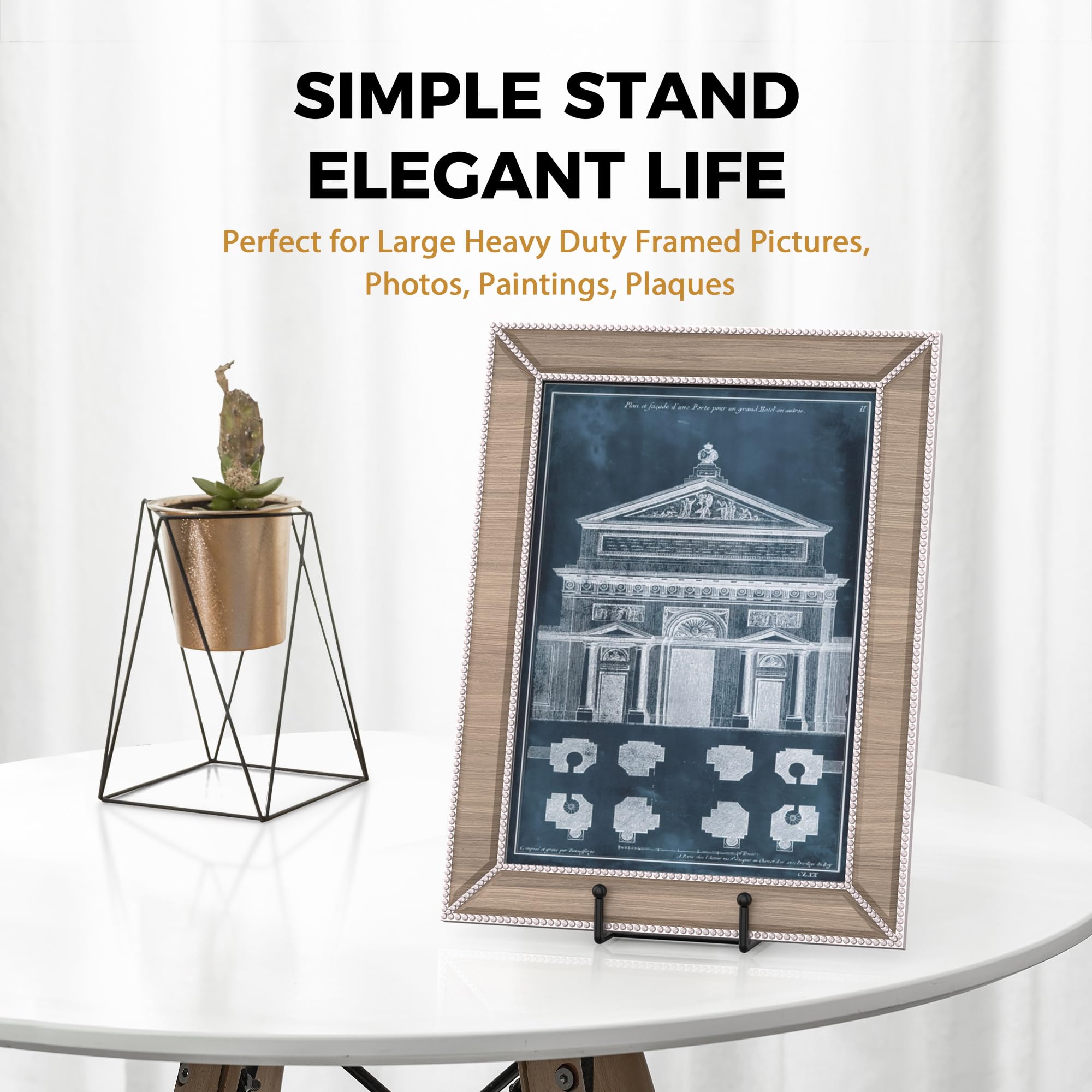 TR-LIFE four-pack plate stands offer versatile display options