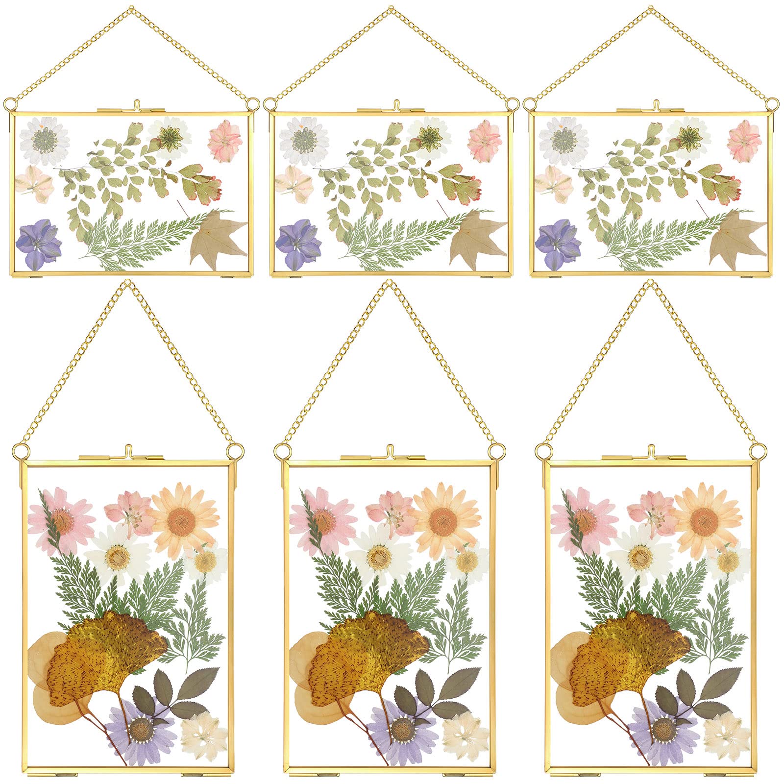 Treela 6x4 inch pressed flower glass frame in horizontal layout for wall display.