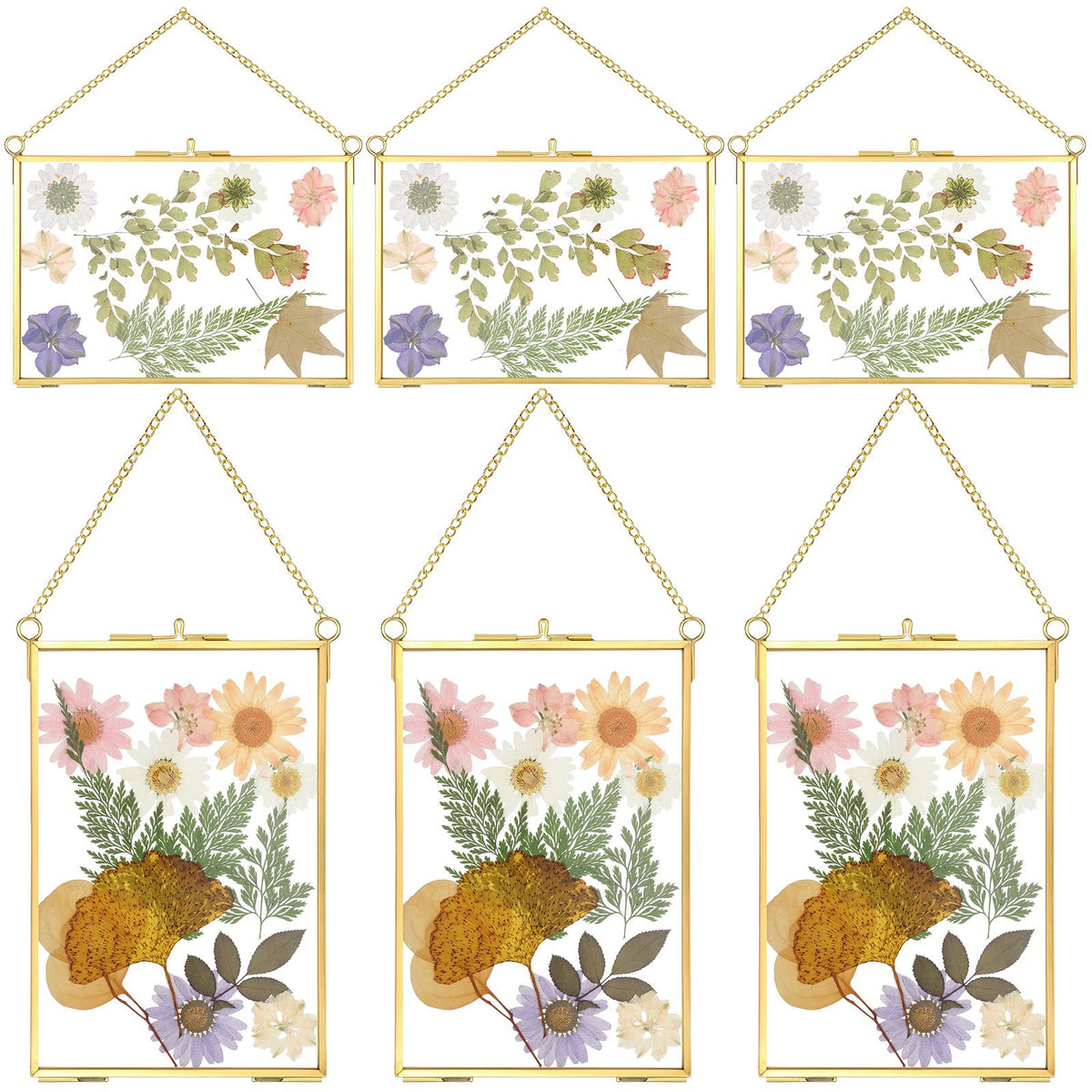 Treela 6x4 inch pressed flower glass frame in horizontal layout for wall display.