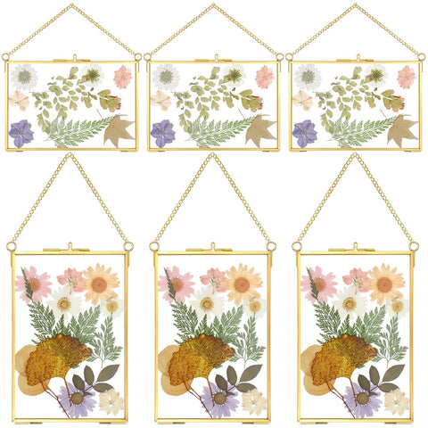Treela 6x4 inch pressed flower glass frame in horizontal layout for wall display.