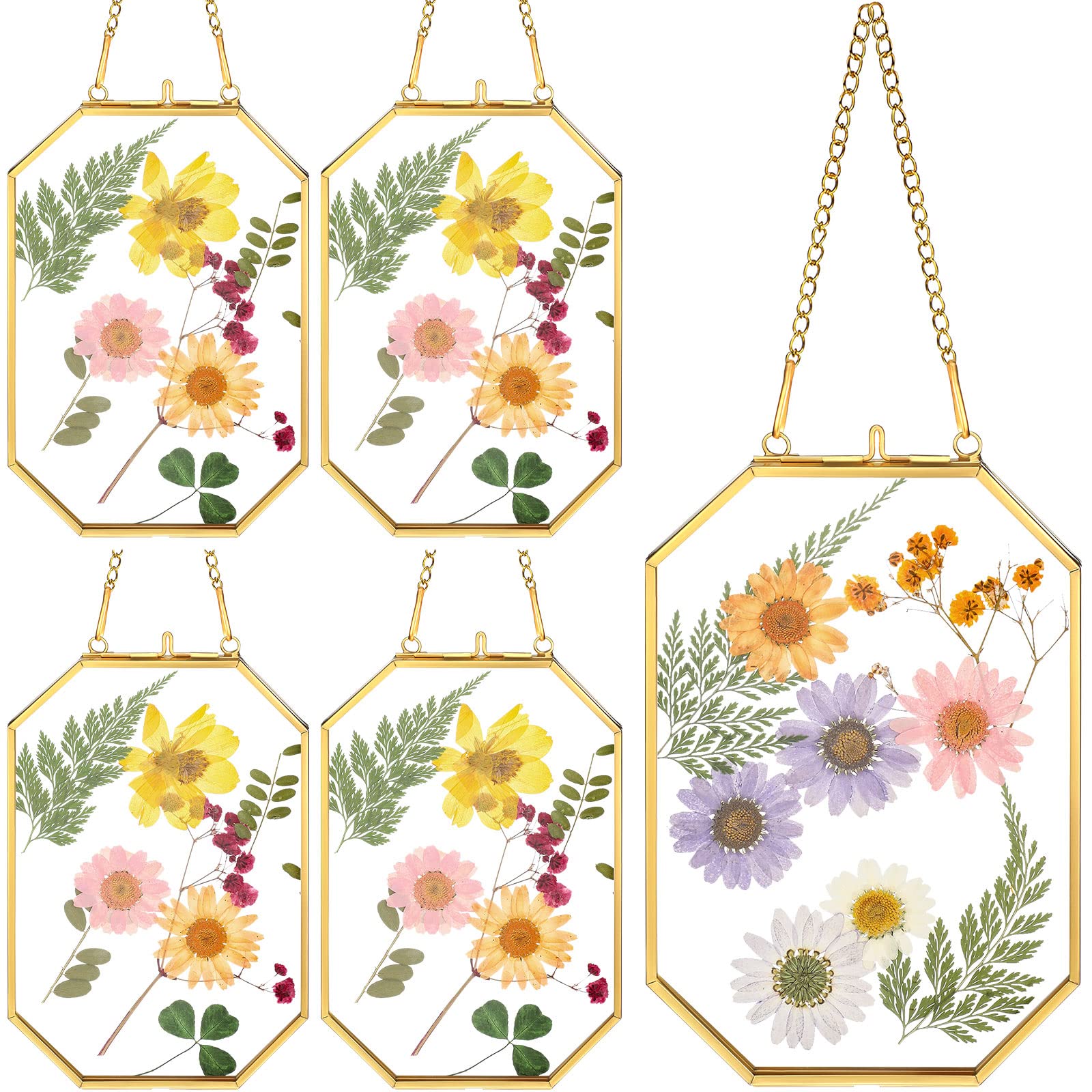 Treela glass pressed flower frame showcases 4x6 photos with octagon brass gold finish for display
