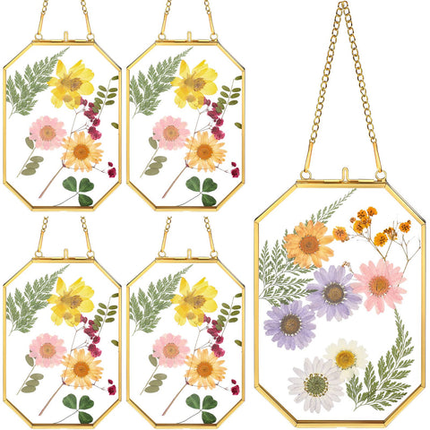 Treela glass pressed flower frame showcases 4x6 photos with octagon brass gold finish for display