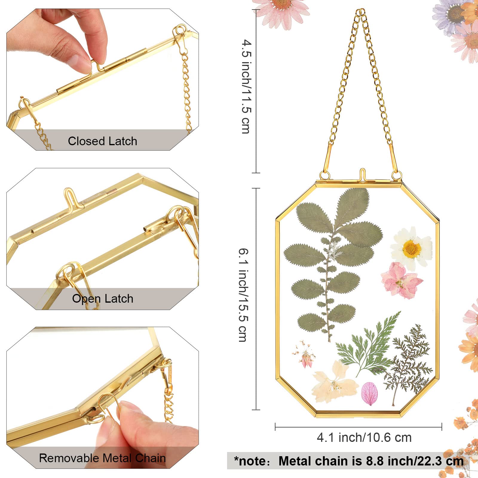 Treela glass pressed flower frame showcases 4x6 photos with octagon brass gold finish for display