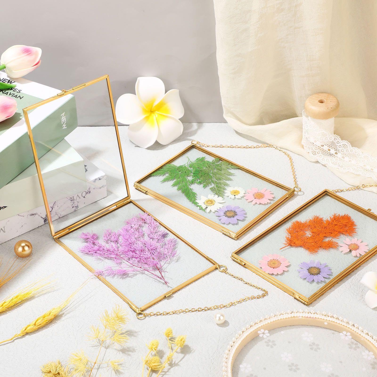 Treela six-frame set for coordinated home decor and gift-ready presentation.