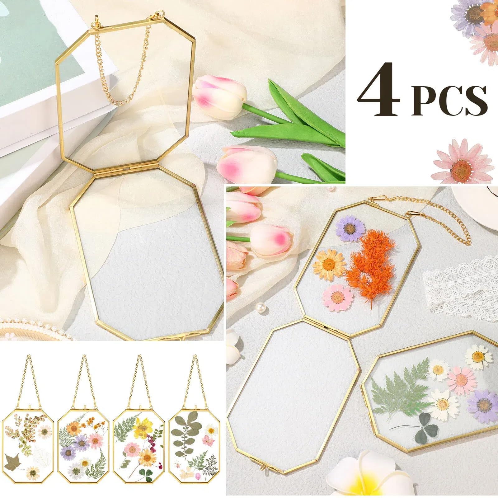 Treela table-top display frame ideal for wedding pictures and plant specimens