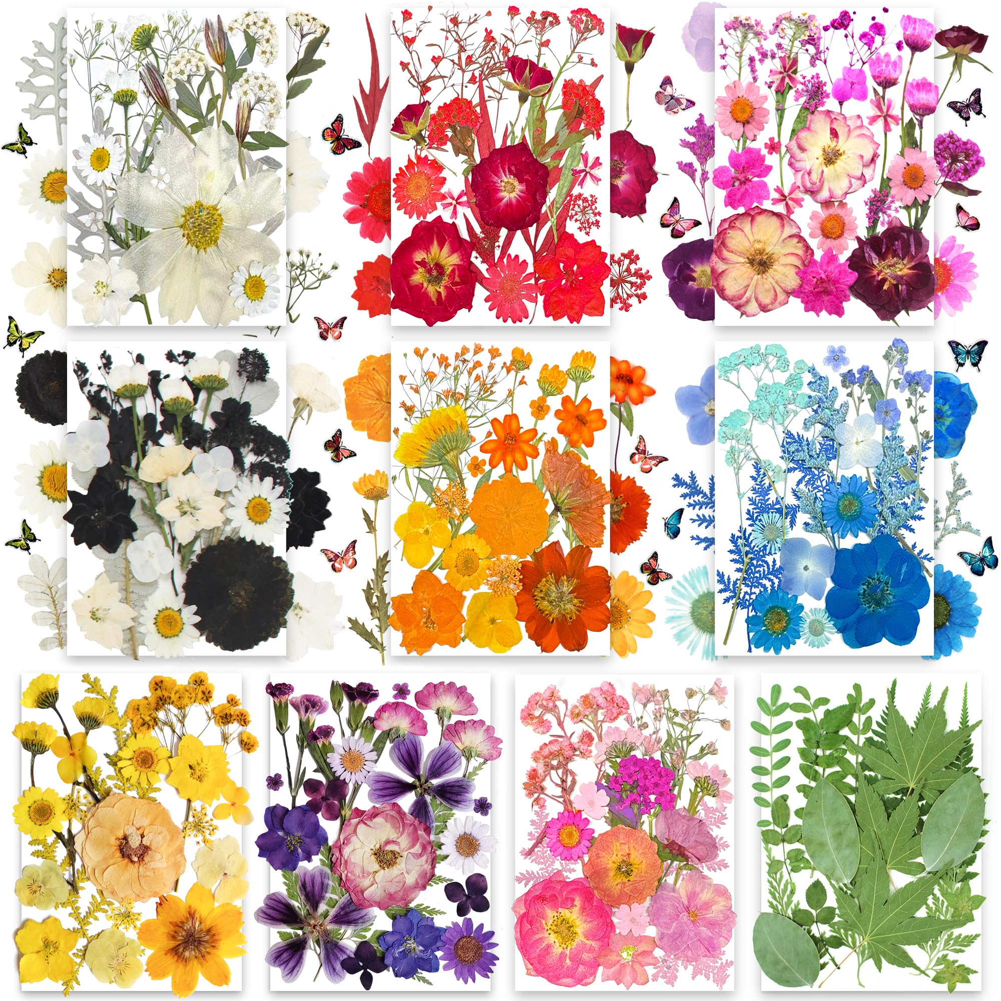 TrendCart dried flowers in 10 colors for crafts and resin projects.