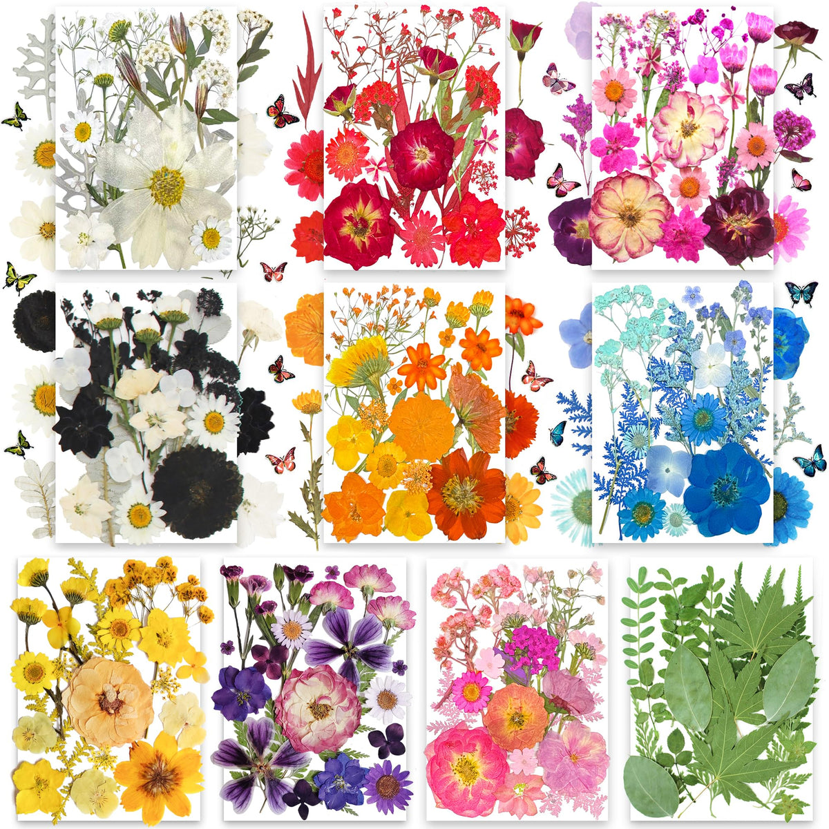 TrendCart dried flowers in 10 colors for crafts and resin projects.