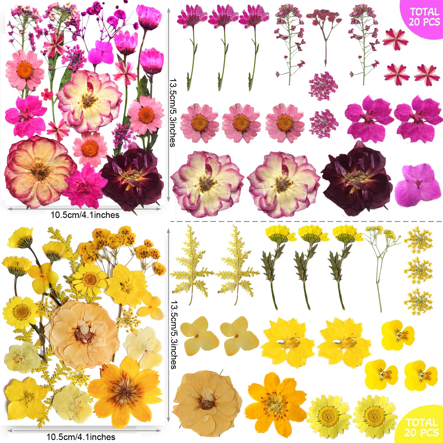 TrendCart butterfly stickers bonus pack for decorative embellishments.