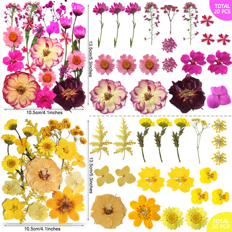 TrendCart butterfly stickers bonus pack for decorative embellishments.