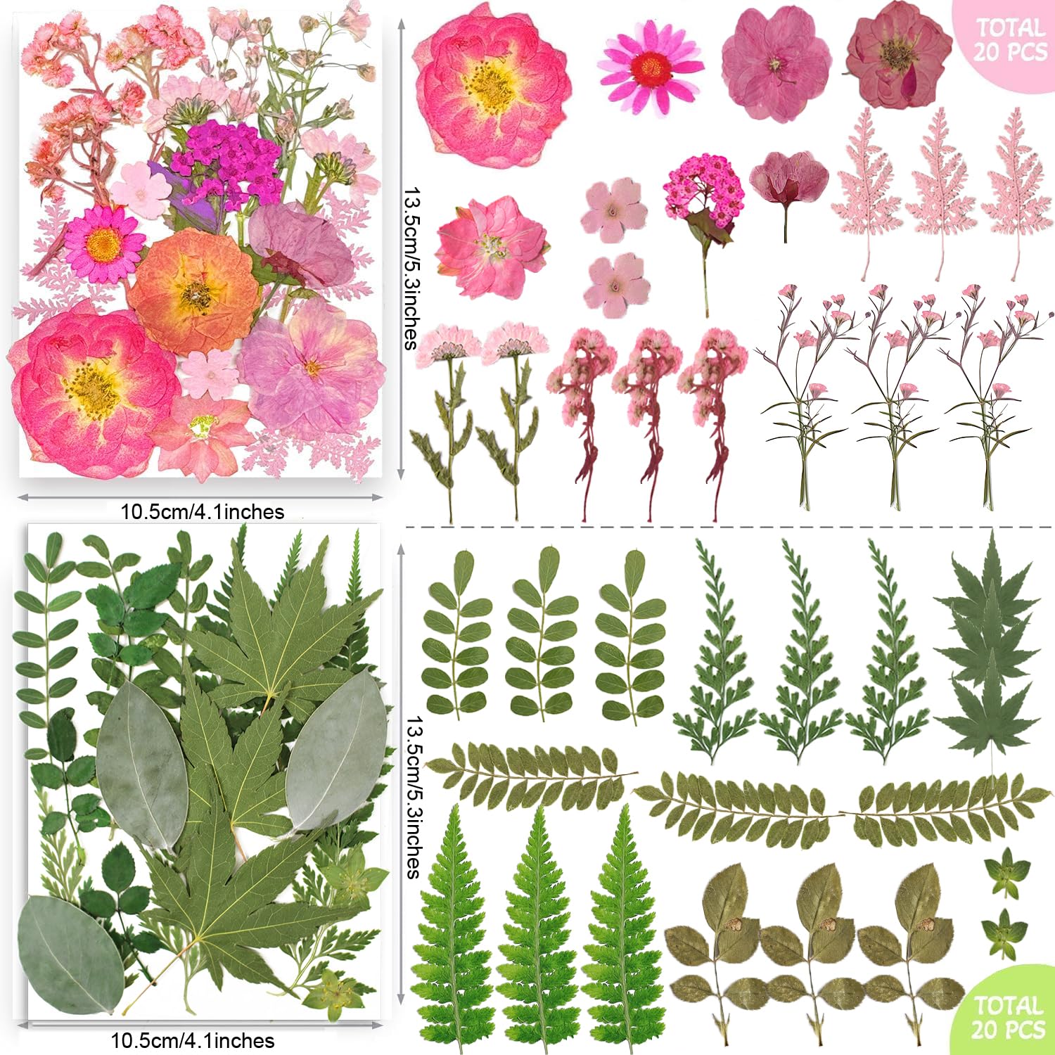 TrendCart scrapbooking decor using pressed flowers for texture.