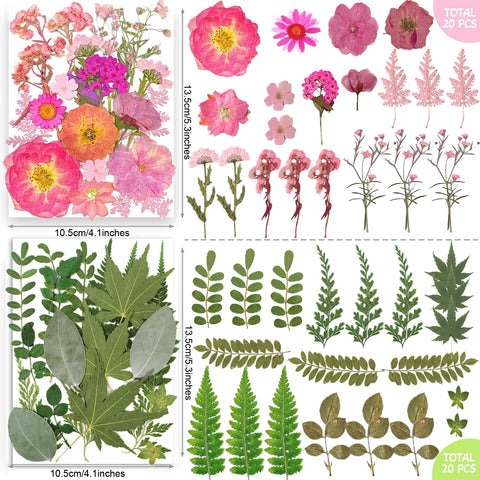 TrendCart scrapbooking decor using pressed flowers for texture.