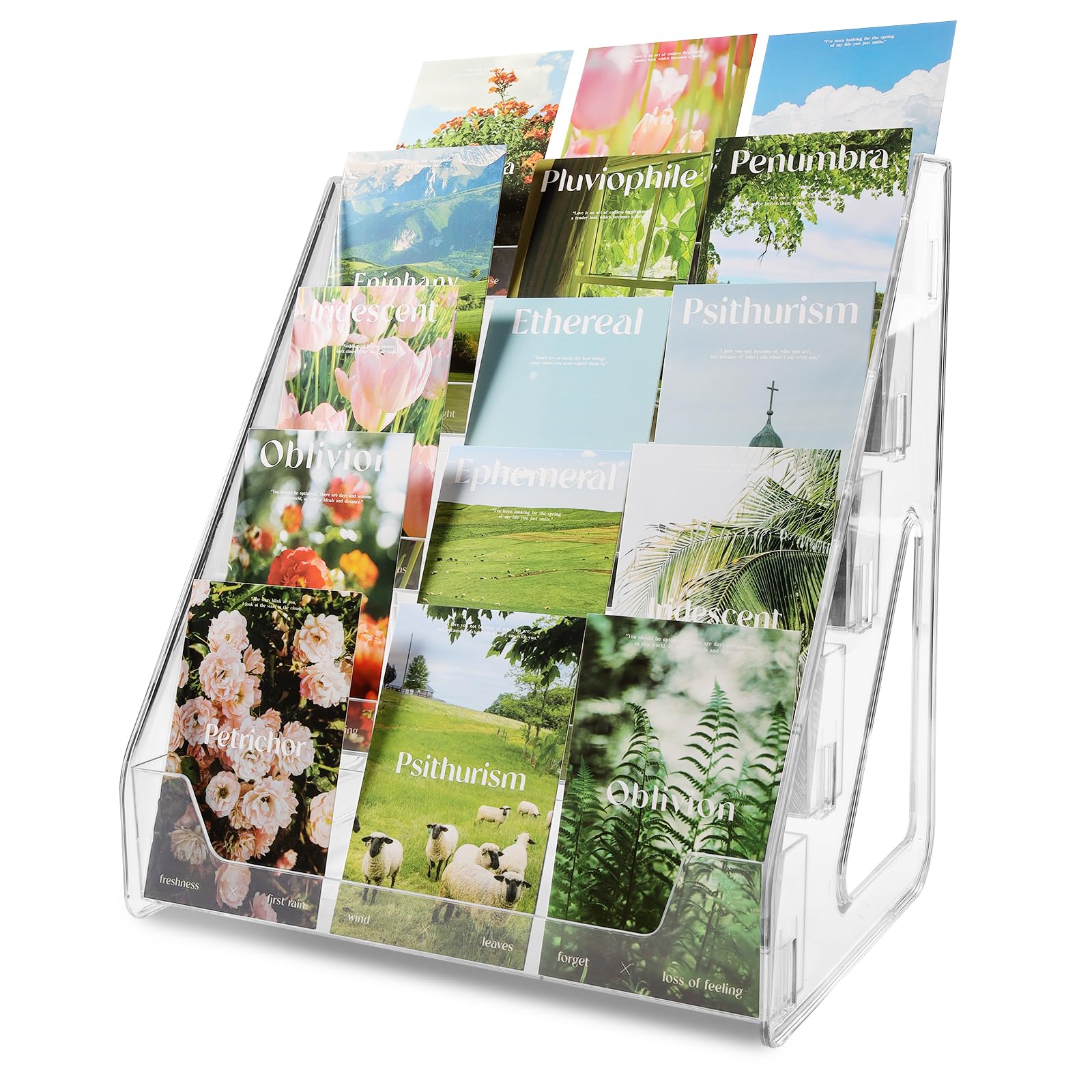 Flat-packed TrendTrust stand ships compact for easy transport.
