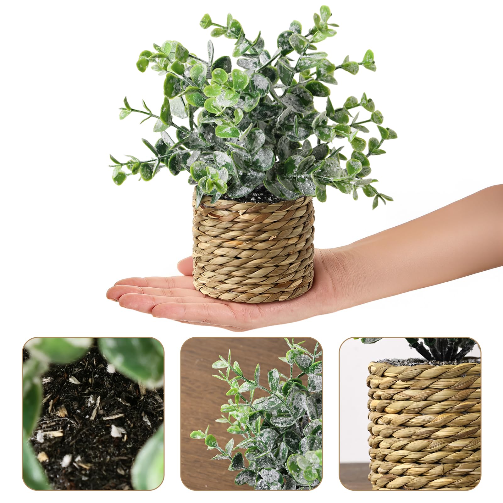 Treory artificial topiary set in rustic seagrass planters for table centerpiece.