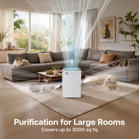 Trucozie H13 True HEPA filtration captures fine particles like smoke and dander.