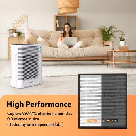 Trucozie T356 filter pack 3-in-1 true HEPA layer.