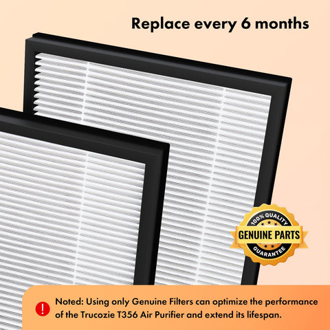 Trucozie T356 filter pack activated carbon layer for odors.