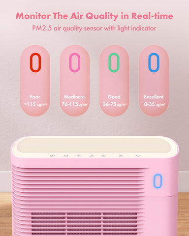 Trucozie T356 PM2.5 sensor display enabling real-time air quality awareness.