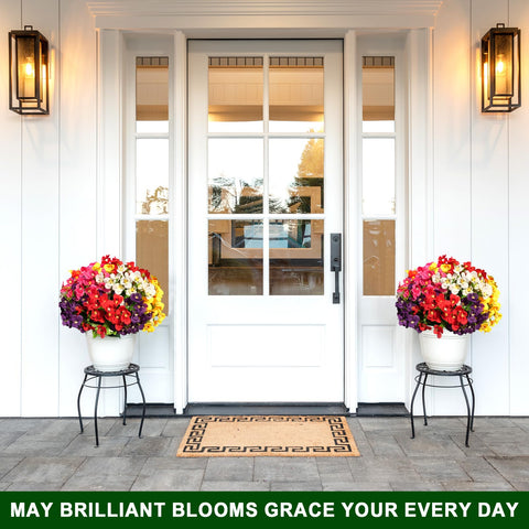 Trytuny window box pansies perfect for sunny spots.