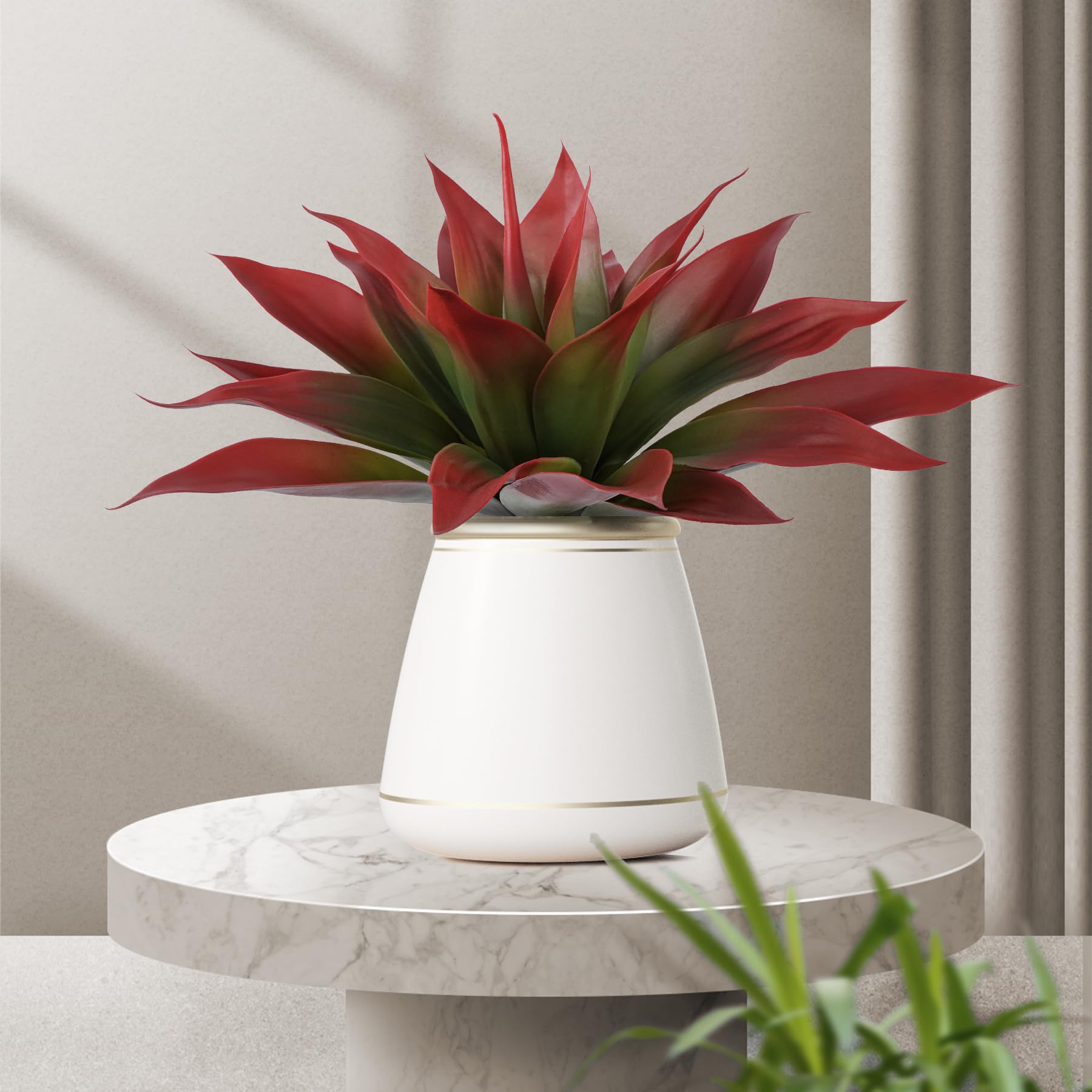 Ttranewsoo two-pack agave plants packaged for easy ordering.