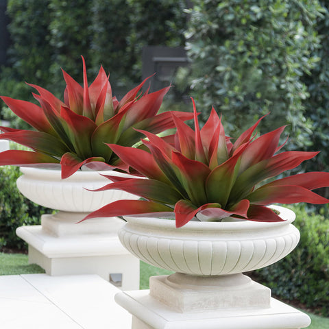 Ttranewsoo indoor agave decor suitable for entryways and living rooms.