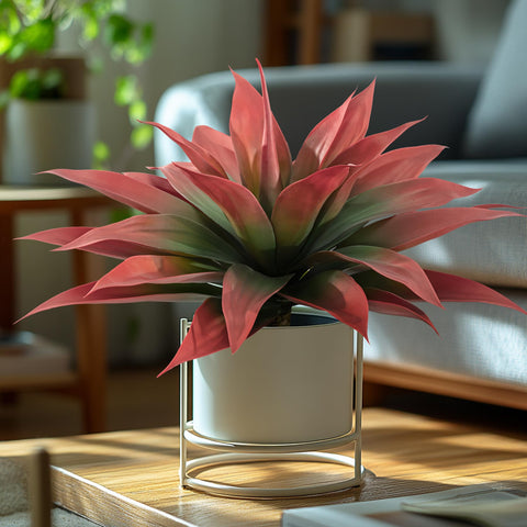 Ttranewsoo outdoor decor setup with artificial agave enhancing spaces.