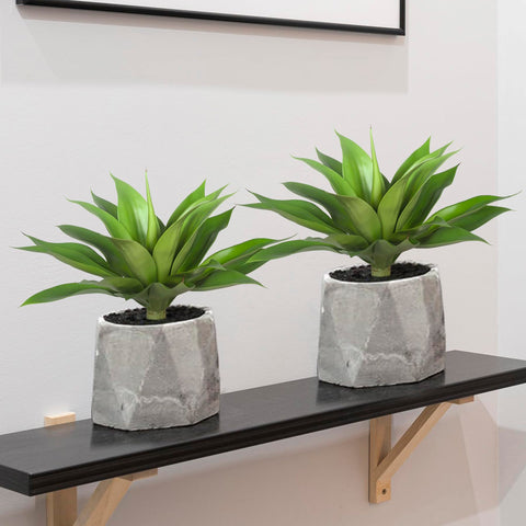 Ttranewsoo no-watering requirement makes refreshing spaces easy