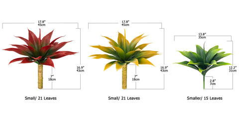 Ttranewsoo agave closeup, textured leaves, realistic look for premium home styling.