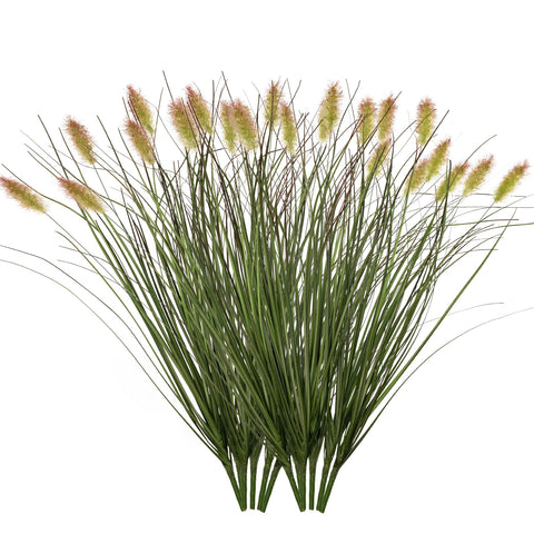 Ttranewsoo grass requires no watering or pruning.