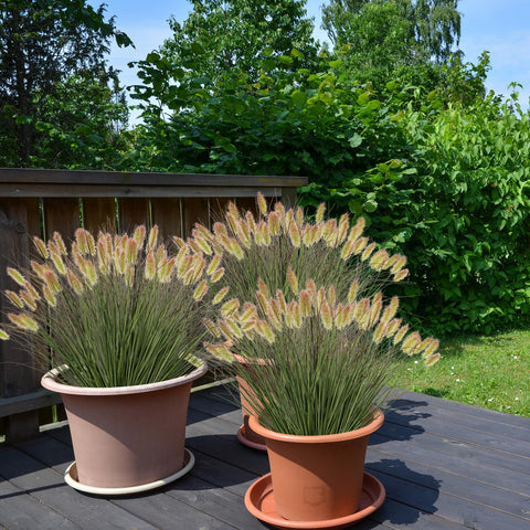 Ttranewsoo outdoor lawn, 16.5 inch height, easy placement.
