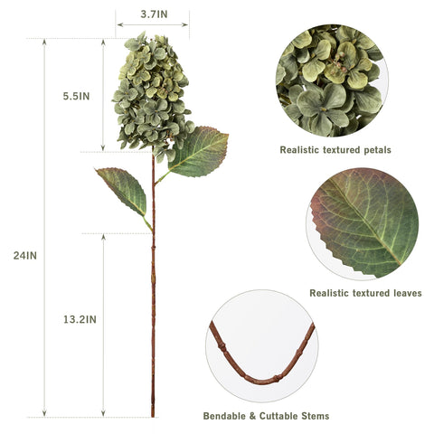 Ttranewsoo Green Hydrangea flower head ideal for vibrant arrangements.