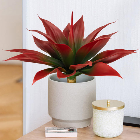 Ttranewsoo indoor-outdoor decor, agave plant arrangement for versatile spaces.