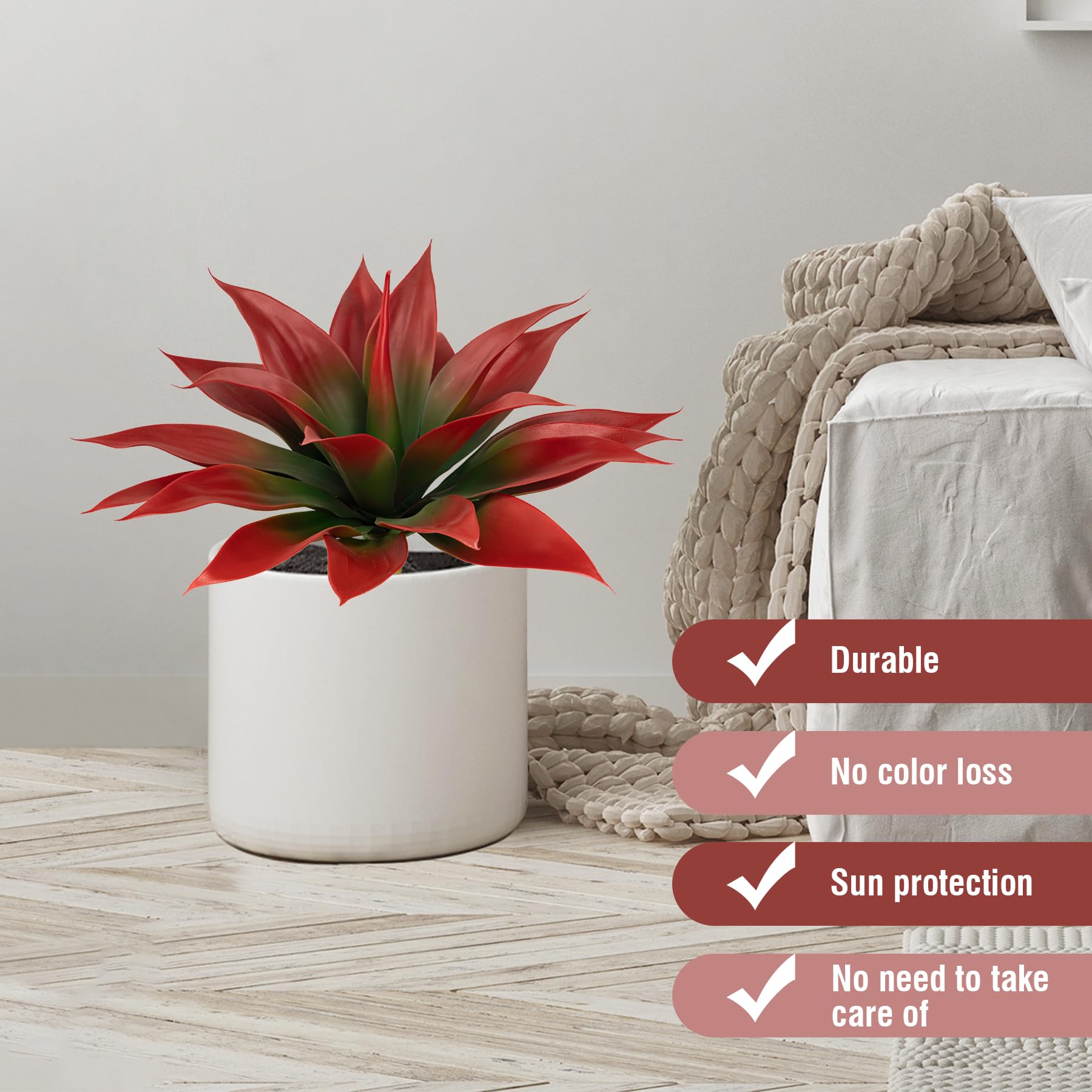 Ttranewsoo wine-red agave, dramatic color for statement displays.
