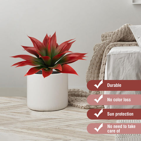 Ttranewsoo wine-red agave, dramatic color for statement displays.