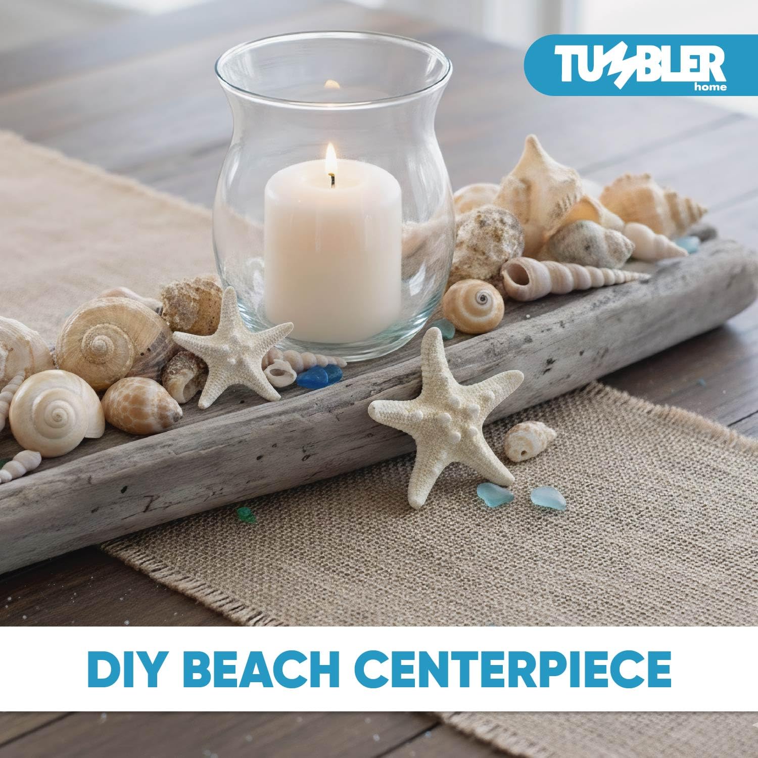 Tumbler Home seashells 1 lb bulk pack for beach decor.