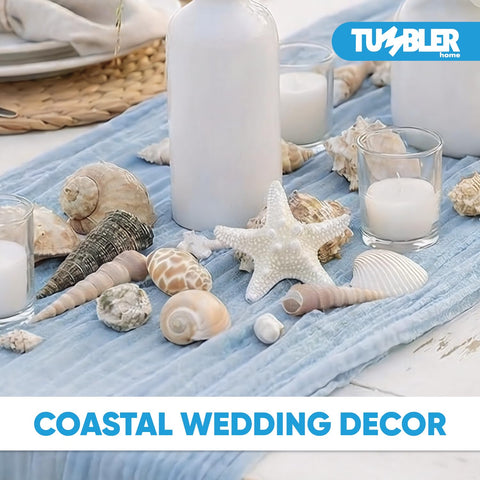 Tumbler Home seashells ideal for lamp decor.